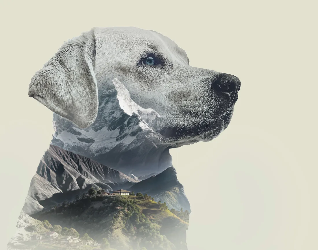 Nepaw artwork: a dog's profile filled with Himalayan mountains and a hillside village