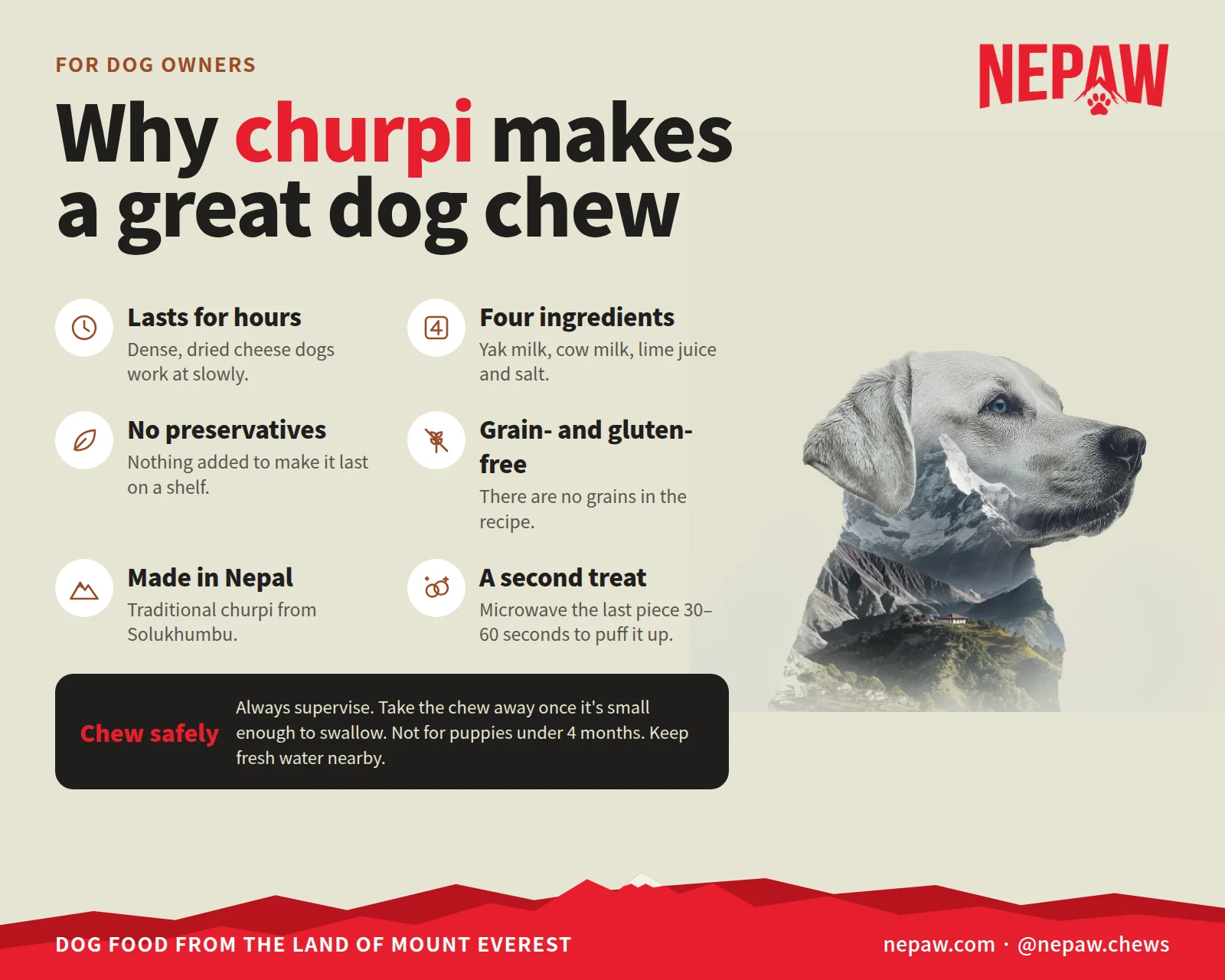 Infographic: why churpi makes a great dog chew, with safe chewing tips